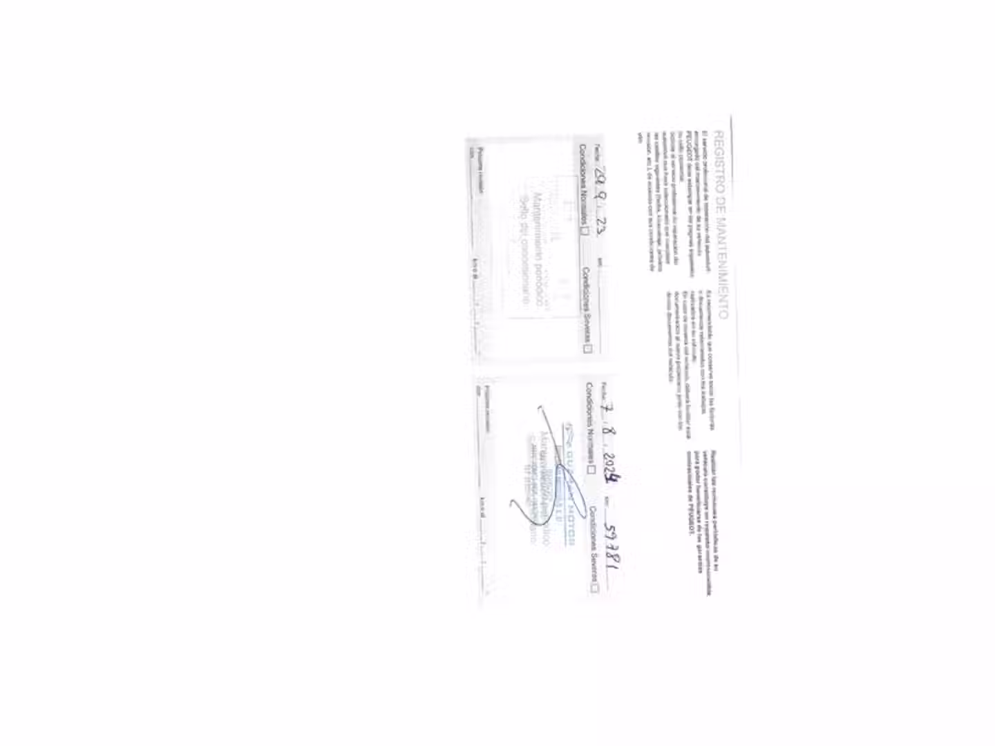 Mantenimiento