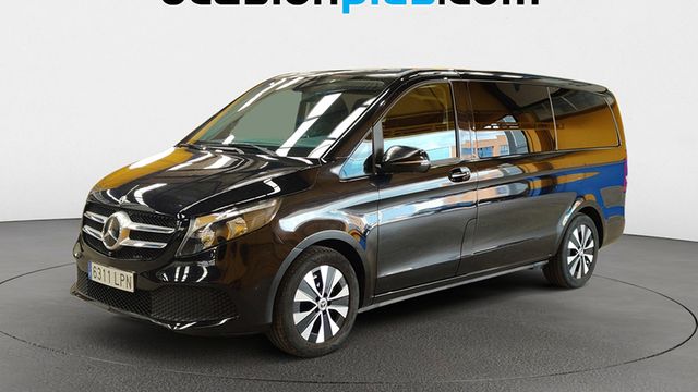 Mercedes Ocasión Toledo